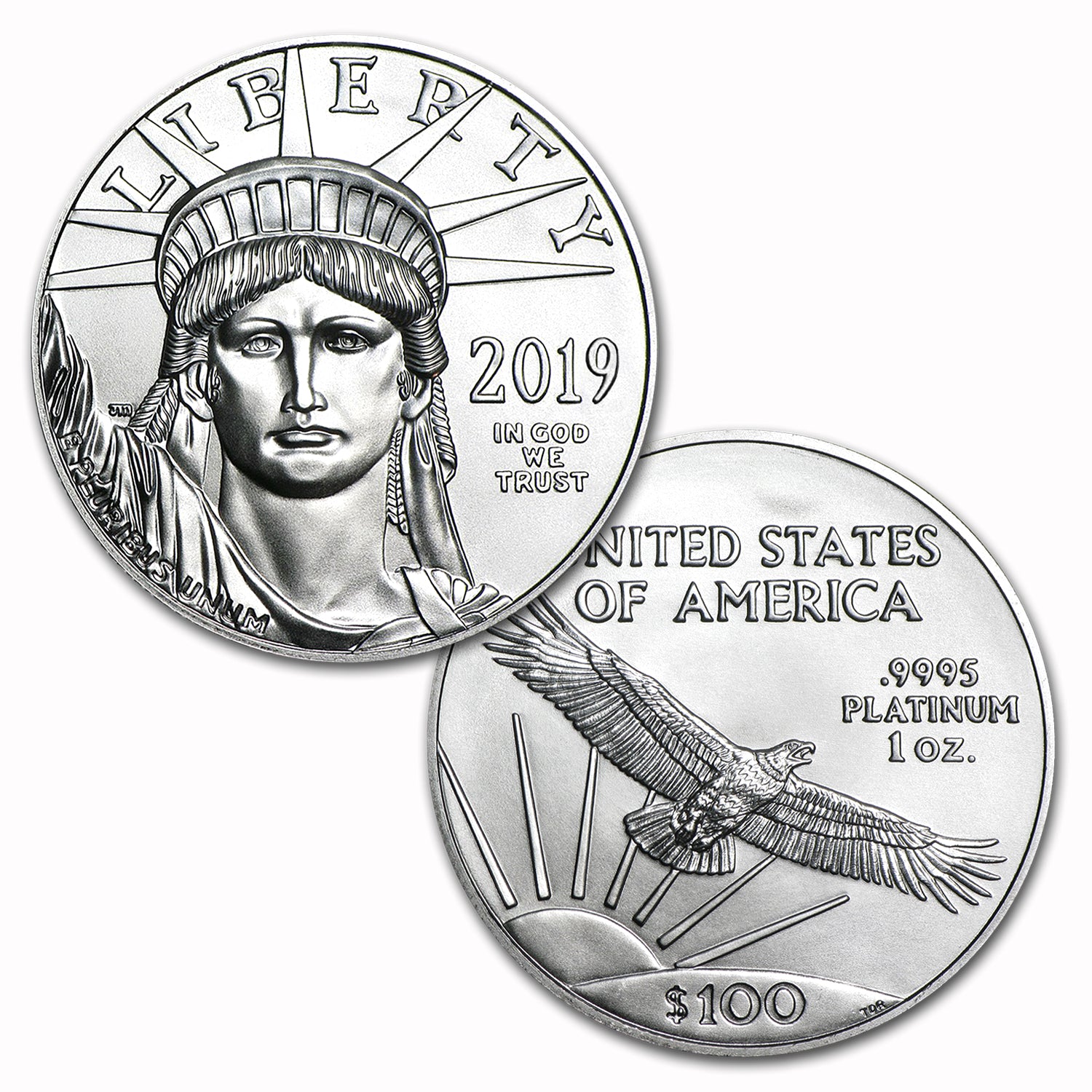 2019 $100 Platinum Eagle (1 Ounce) .9995 Pure $100 Brilliant Uncirculated