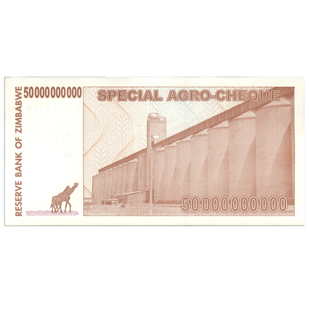 50 Billion Zimbabwe AGRO-CHEQUE BRICK of 1,000 CIRCULATED 2008